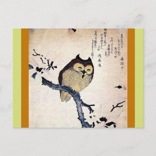 Carte Postale Chouette asiatique (Devant)