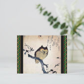 Carte postale Chouette asiatique (Debout devant)