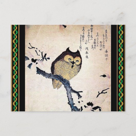 Carte postale Chouette asiatique (Devant)