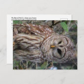 Carte postale Chouette barrée (Devant / Derrière)