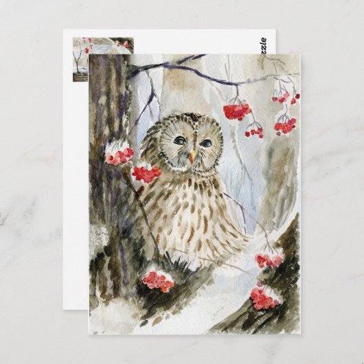 Carte Postale Chouette barrée hiver (Devant / Derrière)
