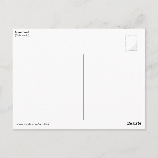 Carte Postale Chouette barrée (Strix varia) (Dos)