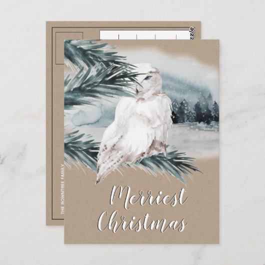 Carte Postale Chouette blanche Branche d'épinette bleue Scène bo (Devant / Derrière)