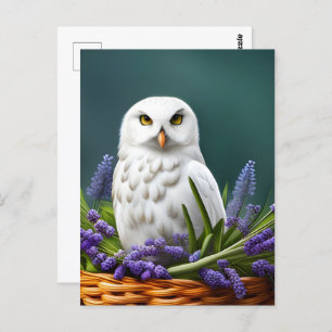 Carte Postale Chouette blanche en Lavande, poste