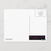 Carte Postale Chouette blanche et noire (Dos)