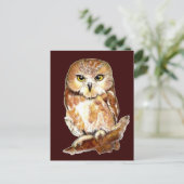 Carte Postale Chouette blanche, Oiseau, Animal (Debout devant)