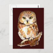 Carte Postale Chouette blanche, Oiseau, Animal (Devant / Derrière)