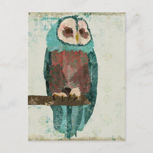 Carte postale Chouette bleue (Devant)