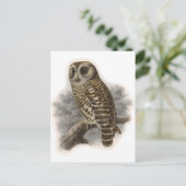 Carte Postale Chouette Brown (Debout devant)