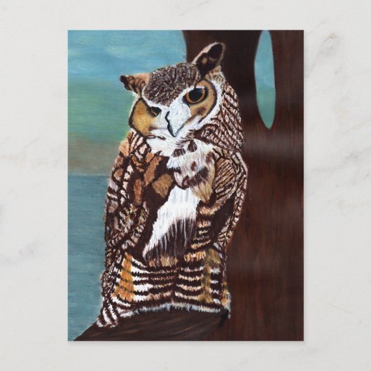 Carte postale Chouette Brown et blanche (Devant)