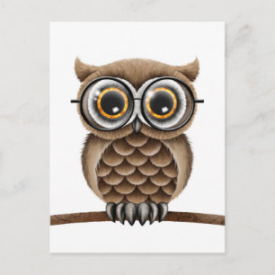 Carte Postale Chouette Brown mignonne avec lunettes de lecture,