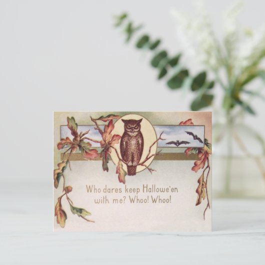 Carte Postale Chouette Chouette Automne Couleur automne Feuille  (Debout devant)