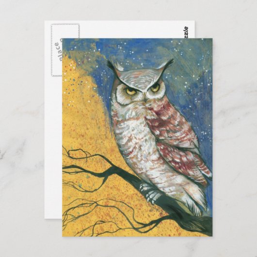 Carte Postale chouette colorée (Devant / Derrière)
