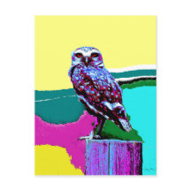 Chouette colorée sur un post Posterisation
