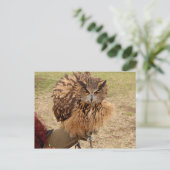 Carte Postale Chouette d'aigle eurasien (Debout devant)
