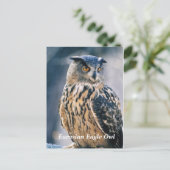 Carte Postale Chouette d'aigle eurasien (Debout devant)