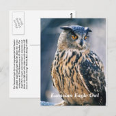 Carte Postale Chouette d'aigle eurasien (Devant / Derrière)