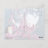Carte Postale Chouette dans l'arbre du prune (Dos)