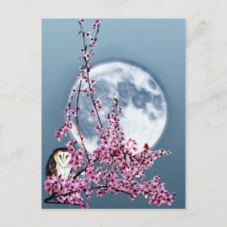 Carte Postale Chouette dans l'arbre du prune