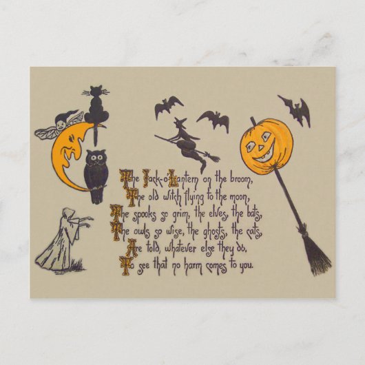Carte Postale Chouette de chauve-souris Noir Chat Jack O' Lanter (Devant)