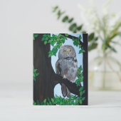 Carte Postale Chouette de l'arbre (Debout devant)