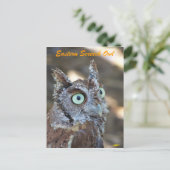 Carte Postale Chouette de l'Est II (Debout devant)