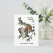 Carte Postale Chouette de l'Est, John Audubon (Debout devant)