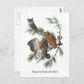 Carte Postale Chouette de l'Est, John Audubon (Devant / Derrière)