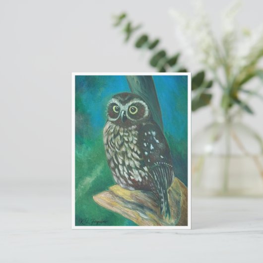 Carte postale Chouette de Morpork (Debout devant)