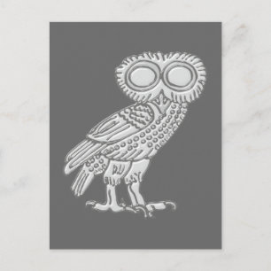 Carte Postale Chouette de Pallas Athena Athena Eule