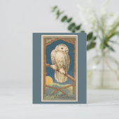 Carte Postale Chouette des neiges (Debout devant)