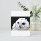 Carte Postale Chouette des neiges (Debout devant)