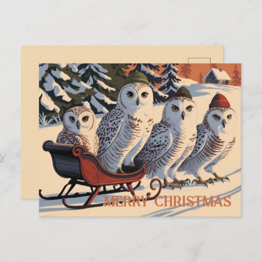 Carte Postale Chouette des neiges Joyeux Noël (Devant / Derrière)