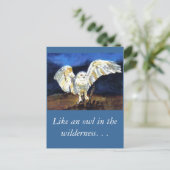 Carte Postale Chouette des neiges par Paula Atwell (Debout devant)