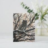 Carte Postale Chouette d'hiver (Debout devant)