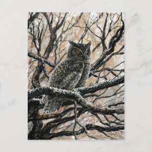 Carte Postale Chouette d'hiver
