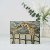 Carte Postale Chouette d'hiver (Debout devant)