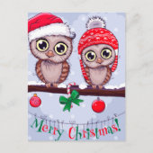 Carte Postale Chouette douce à Noël (Devant)