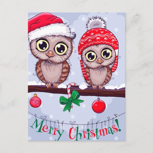 Carte Postale Chouette douce à Noël (Devant)