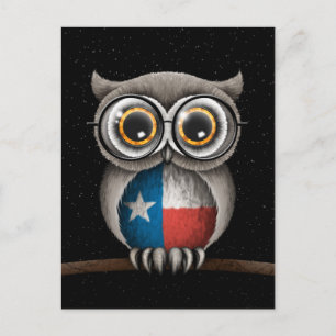 Carte Postale Chouette du drapeau du Texas mignonne portant des