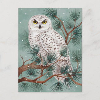 Carte Postale Chouette Effraie d'Hiver dans l'Arbre Art
