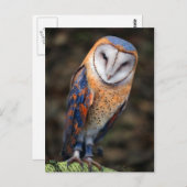 Carte Postale Chouette en forme de coeur (Devant / Derrière)