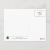 Carte Postale Chouette et chêne Art du dessin animé (Dos)