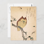 Carte Postale Chouette et magnolia - Kobushi ni mimizuku (Devant / Derrière)