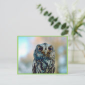 Carte Postale Chouette flammée (Debout devant)