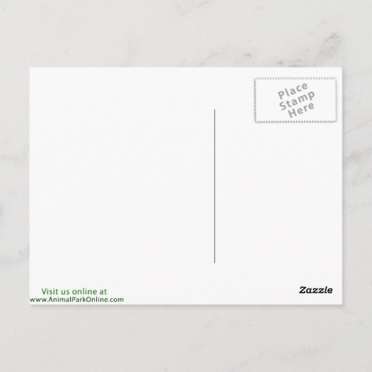 Carte Postale Chouette flammée (Dos)