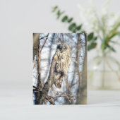 Carte Postale Chouette Gris - Chouette Brown crémeuse (Debout devant)