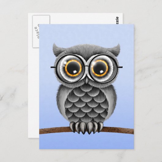 Carte Postale Chouette gris farci mignonne avec lunettes, bleu c (Devant / Derrière)