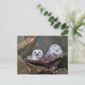 Carte Postale Chouette Harfang Couple Art Bois Faune (Debout devant)