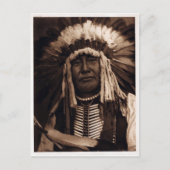 Carte Postale Chouette jaune (Devant)